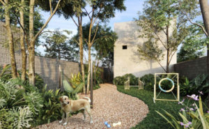 Videre_Pet Place